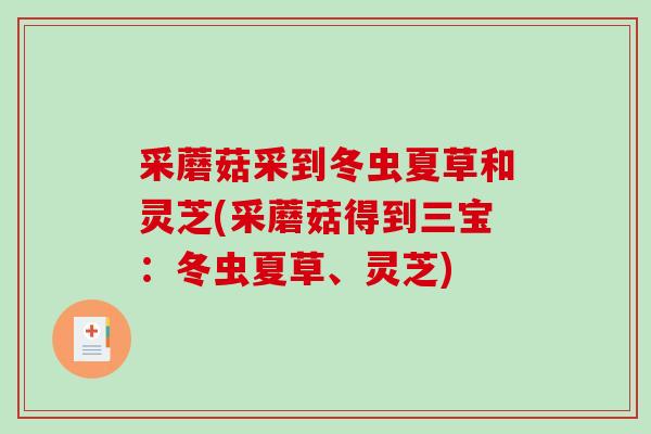 采蘑菇采到冬虫夏草和灵芝(采蘑菇得到三宝：冬虫夏草、灵芝)