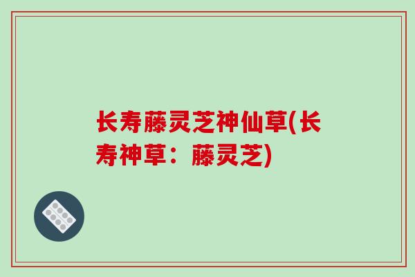 长寿藤灵芝神仙草(长寿神草：藤灵芝)