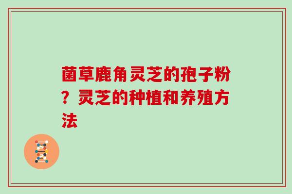 菌草鹿角灵芝的孢子粉?灵芝的种植和养殖方法 菌草鹿角灵芝的孢子粉?灵芝的种植和养殖方法