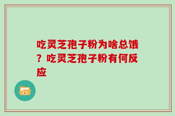 吃灵芝孢子粉为啥总饿？吃灵芝孢子粉有何反应