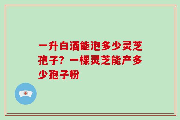 一升白酒能泡多少灵芝孢子？一棵灵芝能产多少孢子粉