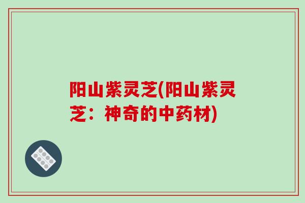 阳山紫灵芝(阳山紫灵芝:神奇的材) 阳山紫灵芝(阳山紫灵芝:神奇的材)