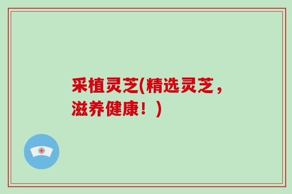 采植灵芝(精选灵芝，滋养健康！)