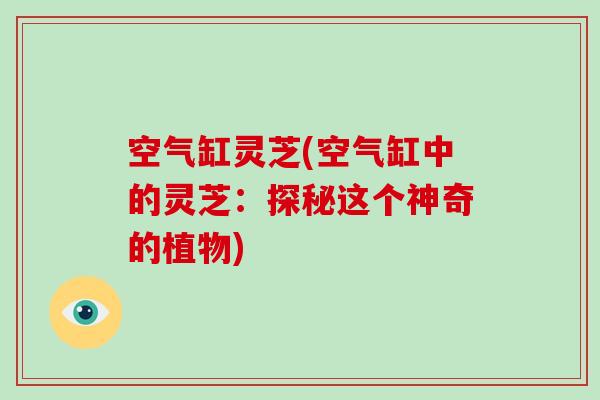空气缸灵芝(空气缸中的灵芝：探秘这个神奇的植物)