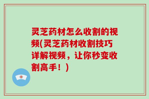 灵芝药材怎么收割的视频(灵芝药材收割技巧详解视频，让你秒变收割高手！)