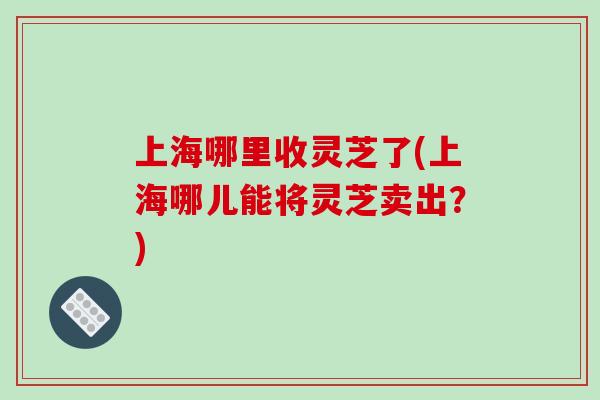 上海哪里收灵芝了(上海哪儿能将灵芝卖出？)