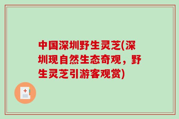中国深圳野生灵芝(深圳现自然生态奇观，野生灵芝引游客观赏)