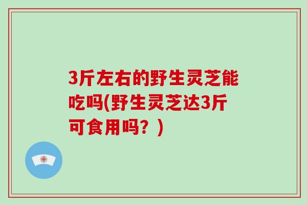 3斤左右的野生灵芝能吃吗(野生灵芝达3斤可食用吗？)