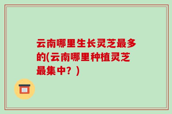 云南哪里生长灵芝多的(云南哪里种植灵芝集中？)