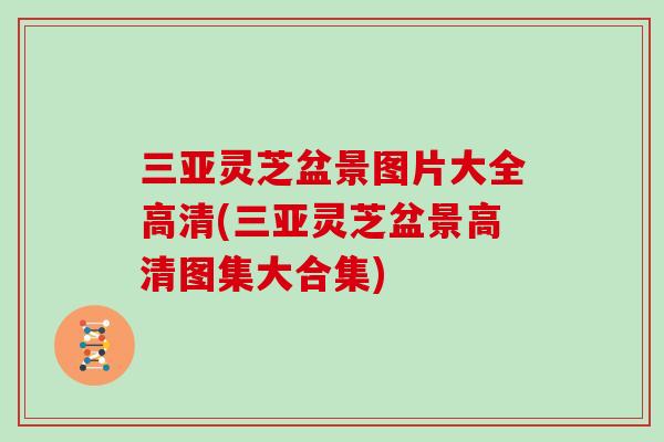 三亚灵芝盆景图片大全高清(三亚灵芝盆景高清图集大合集)