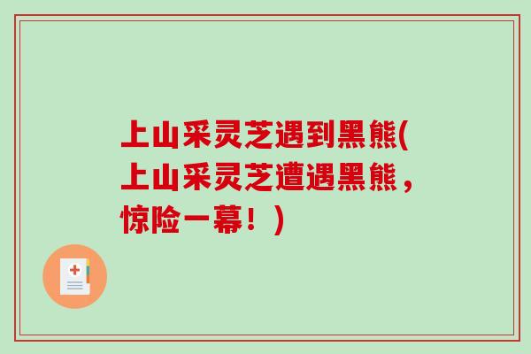 上山采灵芝遇到黑熊(上山采灵芝遭遇黑熊,惊险一幕!) 上山采灵芝遇到黑熊(上山采灵芝遭遇黑熊,惊险一幕!)