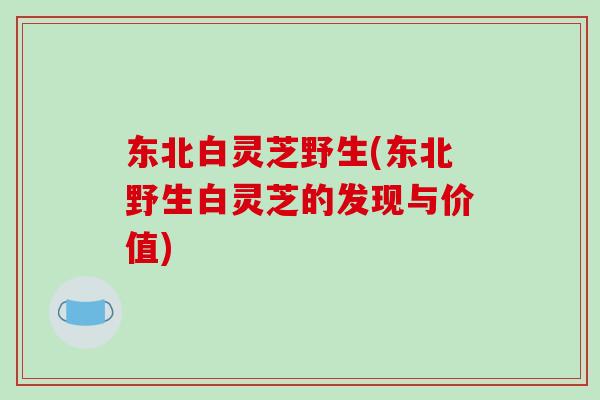 东北白灵芝野生(东北野生白灵芝的发现与价值) 东北白灵芝野生(东北野生白灵芝的发现与价值)
