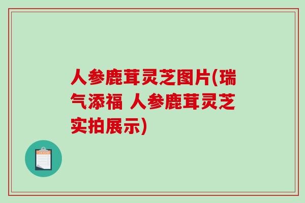 人参鹿茸灵芝图片(瑞气添福 人参鹿茸灵芝实拍展示)