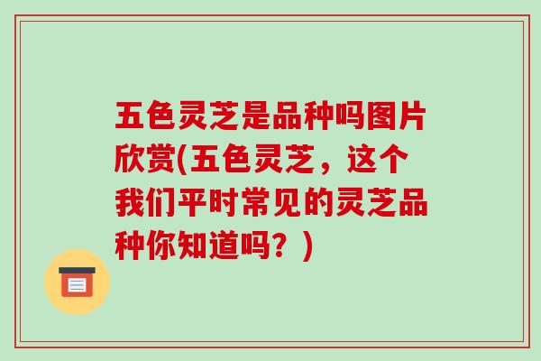五色灵芝是品种吗图片欣赏(五色灵芝，这个我们平时常见的灵芝品种你知道吗？)