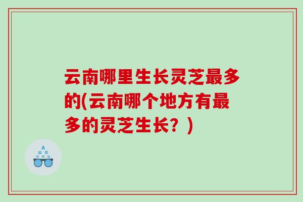 云南哪里生长灵芝多的(云南哪个地方有多的灵芝生长？)