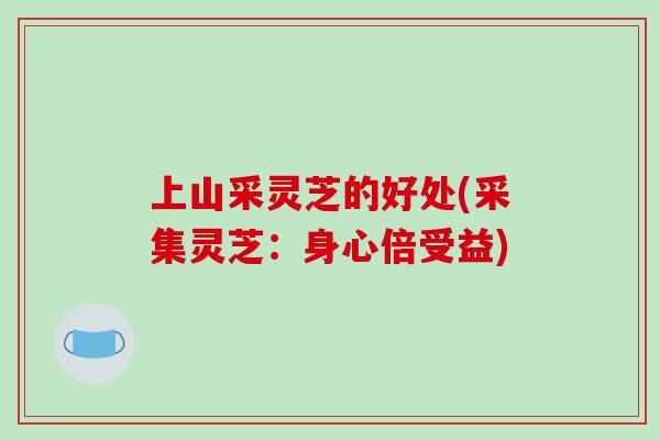 上山采灵芝的好处(采集灵芝:身心倍受益) 上山采灵芝的好处(采集灵芝:身心倍受益)