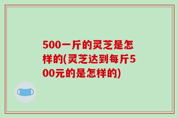 500一斤的灵芝是怎样的(灵芝达到每斤500元的是怎样的) 500一斤的灵芝是怎样的(灵芝达到每斤500元的是怎样的)