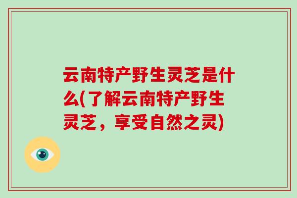 云南特产野生灵芝是什么(了解云南特产野生灵芝,享受自然之灵) 云南特产野生灵芝是什么(了解云南特产野生灵芝,享受自然之灵)