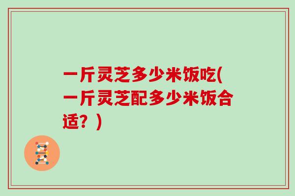 一斤灵芝多少米饭吃(一斤灵芝配多少米饭合适?) 一斤灵芝多少米饭吃(一斤灵芝配多少米饭合适?)