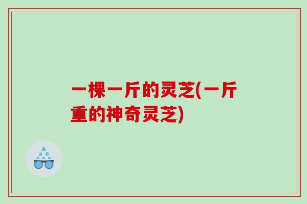一棵一斤的灵芝(一斤重的神奇灵芝) 一棵一斤的灵芝(一斤重的神奇灵芝)