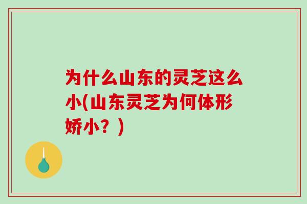 为什么山东的灵芝这么小(山东灵芝为何体形娇小？)