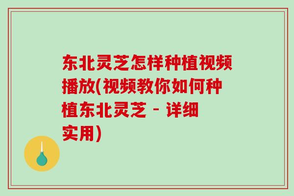 东北灵芝怎样种植视频播放(视频教你如何种植东北灵芝 - 详细实用)