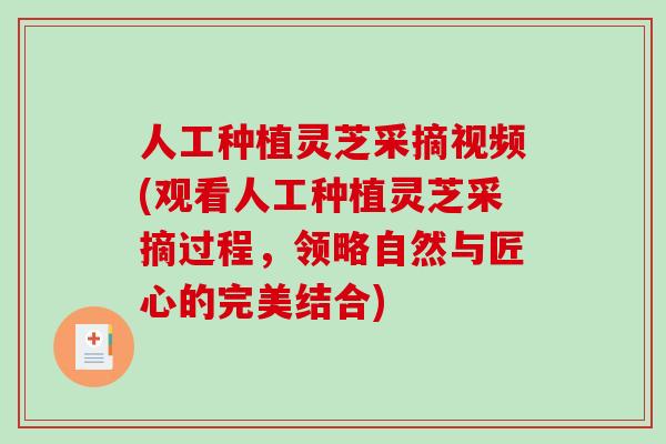 人工种植灵芝采摘视频(观看人工种植灵芝采摘过程，领略自然与匠心的完美结合)