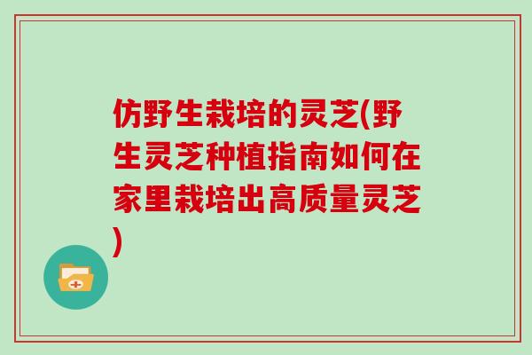 仿野生栽培的灵芝(野生灵芝种植指南如何在家里栽培出高质量灵芝)