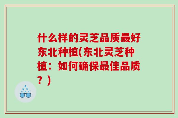 什么样的灵芝品质好东北种植(东北灵芝种植：如何确保佳品质？)