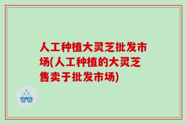 人工种植大灵芝批发市场(人工种植的大灵芝售卖于批发市场)