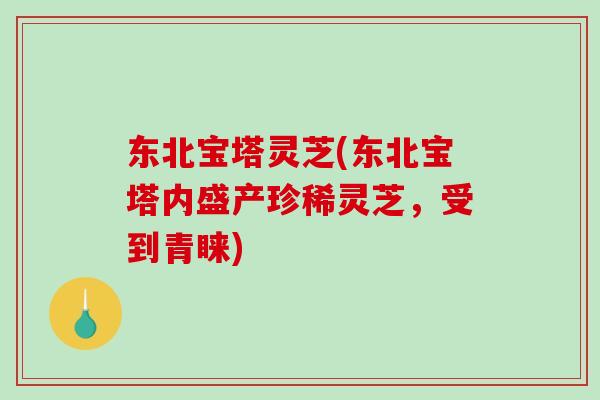东北宝塔灵芝(东北宝塔内盛产珍稀灵芝,受到青睐) 东北宝塔灵芝(东北宝塔内盛产珍稀灵芝,受到青睐)