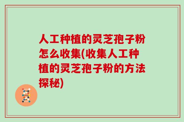 人工种植的灵芝孢子粉怎么收集(收集人工种植的灵芝孢子粉的方法探秘) 人工种植的灵芝孢子粉怎么收集(收集人工种植的灵芝孢子粉的方法探秘)