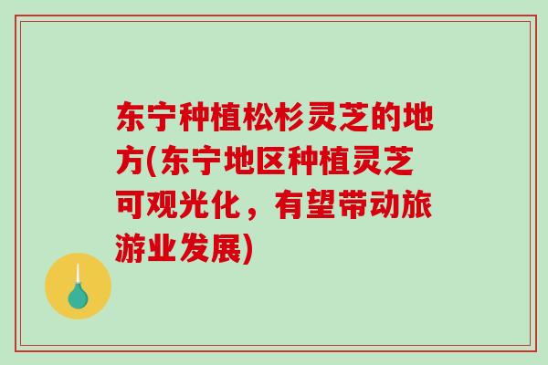 东宁种植松杉灵芝的地方(东宁地区种植灵芝可观光化，有望带动旅游业发展)