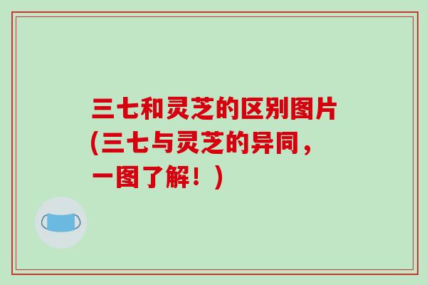 三七和灵芝的区别图片(三七与灵芝的异同，一图了解！)