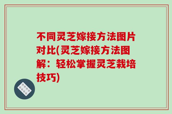 不同灵芝嫁接方法图片对比(灵芝嫁接方法图解：轻松掌握灵芝栽培技巧)