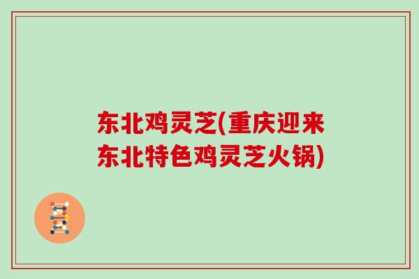 东北鸡灵芝(重庆迎来东北特色鸡灵芝火锅)