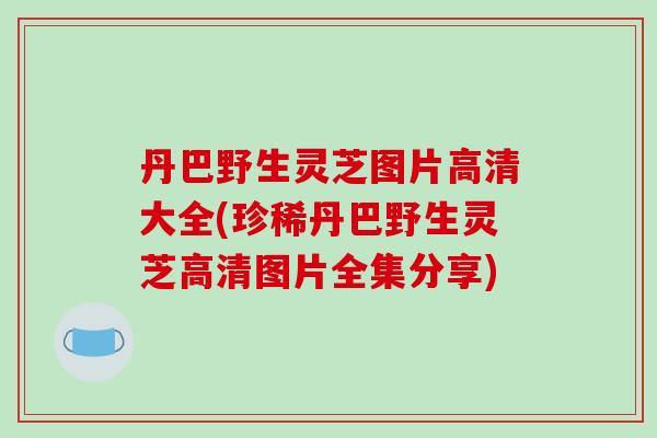 丹巴野生灵芝图片高清大全(珍稀丹巴野生灵芝高清图片全集分享)