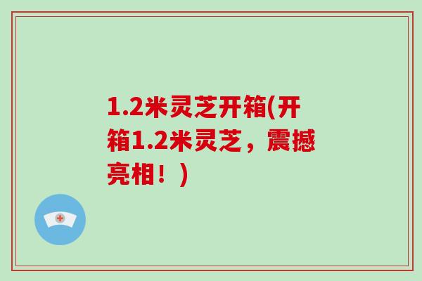 1.2米灵芝开箱(开箱1.2米灵芝，震撼亮相！)
