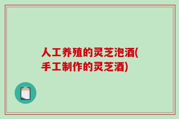人工养殖的灵芝泡酒(手工制作的灵芝酒)