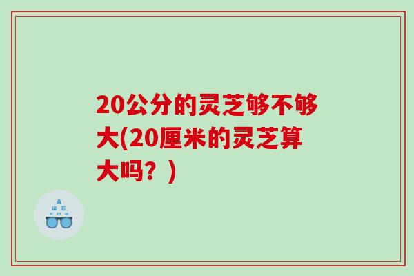 20公分的灵芝够不够大(20厘米的灵芝算大吗？)