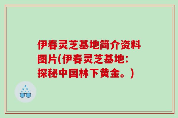 伊春灵芝基地简介资料图片(伊春灵芝基地:探秘中国林下黄金。) 伊春灵芝基地简介资料图片(伊春灵芝基地:探秘中国林下黄金。)