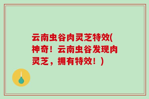云南虫谷肉灵芝特效(神奇！云南虫谷发现肉灵芝，拥有特效！)