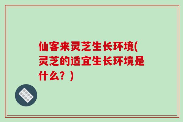 仙客来灵芝生长环境(灵芝的适宜生长环境是什么?) 仙客来灵芝生长环境(灵芝的适宜生长环境是什么?)