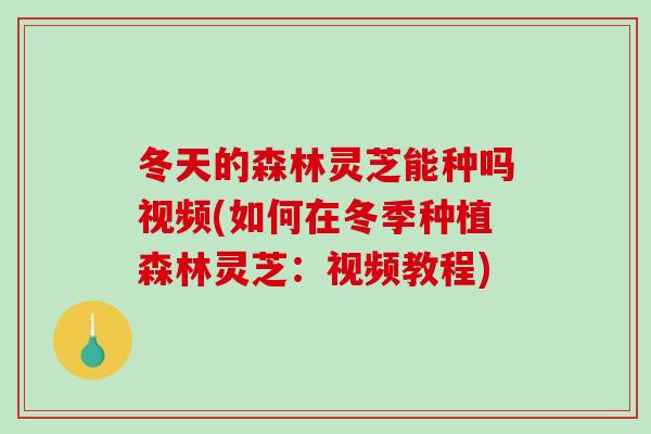 冬天的森林灵芝能种吗视频(如何在冬季种植森林灵芝：视频教程)