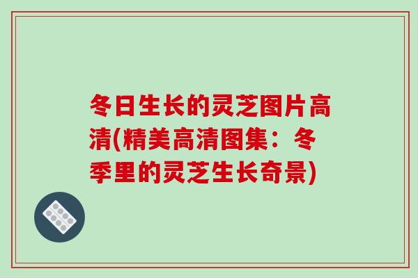 冬日生长的灵芝图片高清(精美高清图集:冬季里的灵芝生长奇景) 冬日生长的灵芝图片高清(精美高清图集:冬季里的灵芝生长奇景)