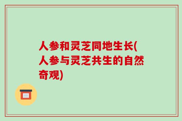 人参和灵芝同地生长(人参与灵芝共生的自然奇观)