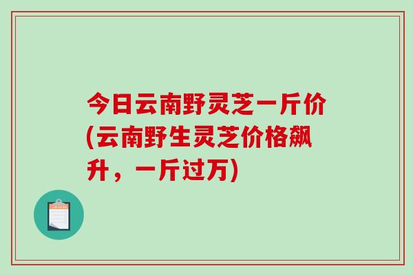 今日云南野灵芝一斤价(云南野生灵芝价格飙升，一斤过万)