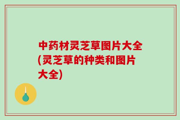 材灵芝草图片大全(灵芝草的种类和图片大全)