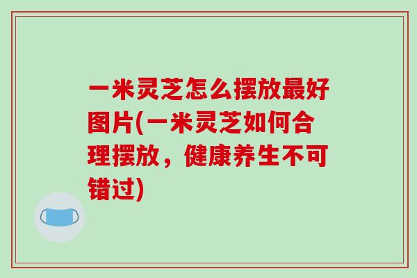 一米灵芝怎么摆放好图片(一米灵芝如何合理摆放，健康养生不可错过)