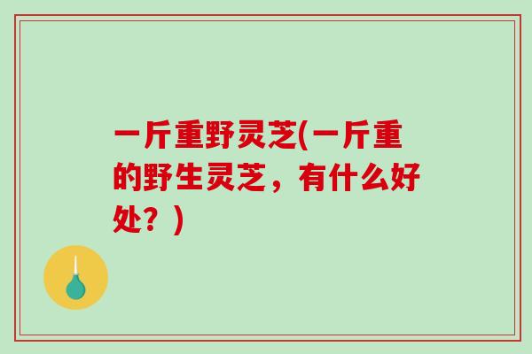 一斤重野灵芝(一斤重的野生灵芝，有什么好处？)